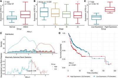 PD-L1-Mediated Immunosuppression in Oral Squamous Cell Carcinoma: Relationship With Macrophage Infiltration and Epithelial to Mesenchymal Transition Markers